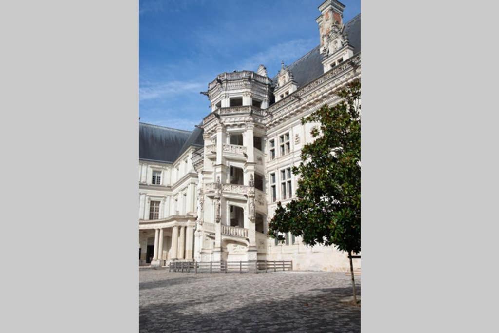 Appartement Quartier Cathedrale 블루아 외부 사진